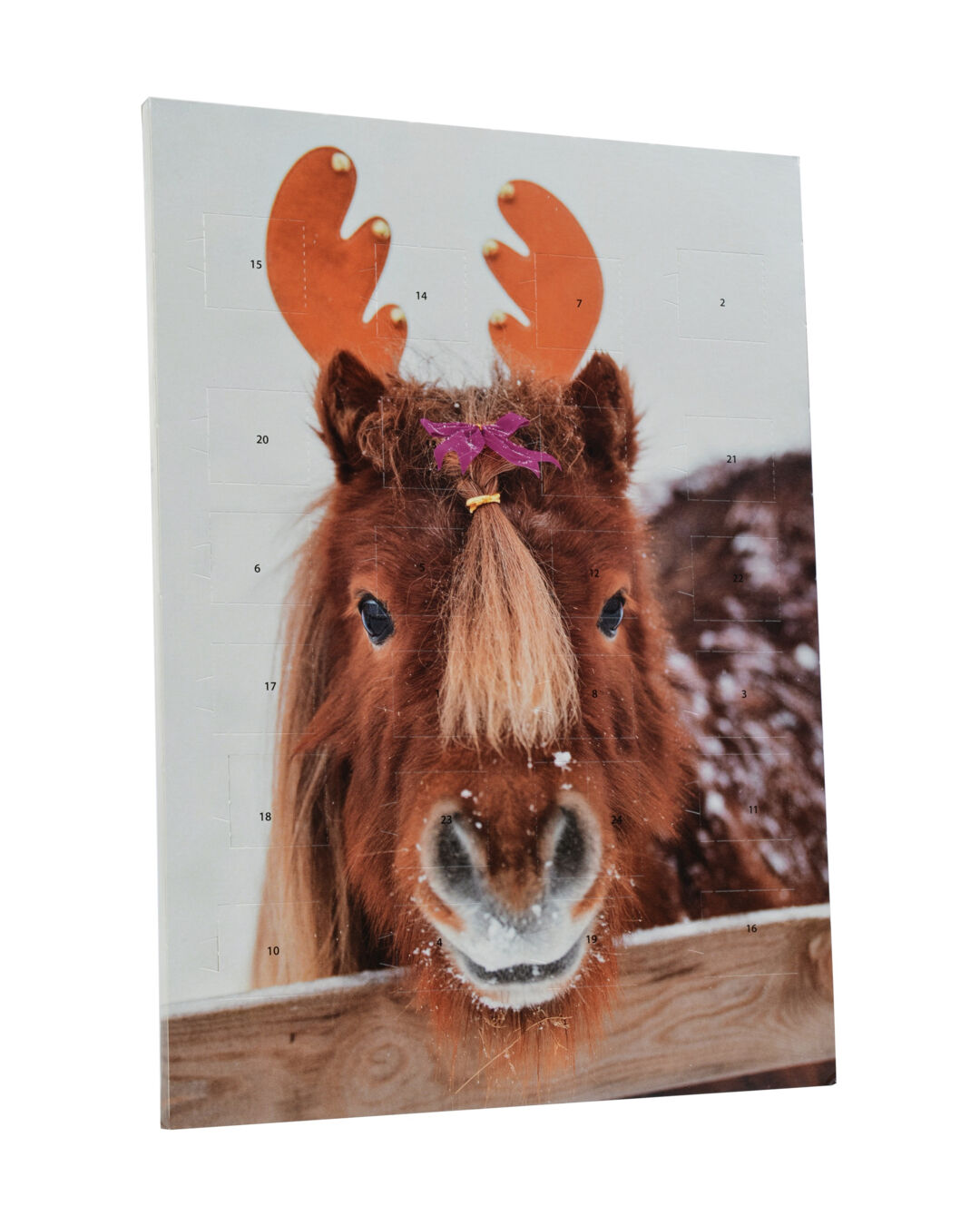 Adventskalender 2025 Adventskalender 2025